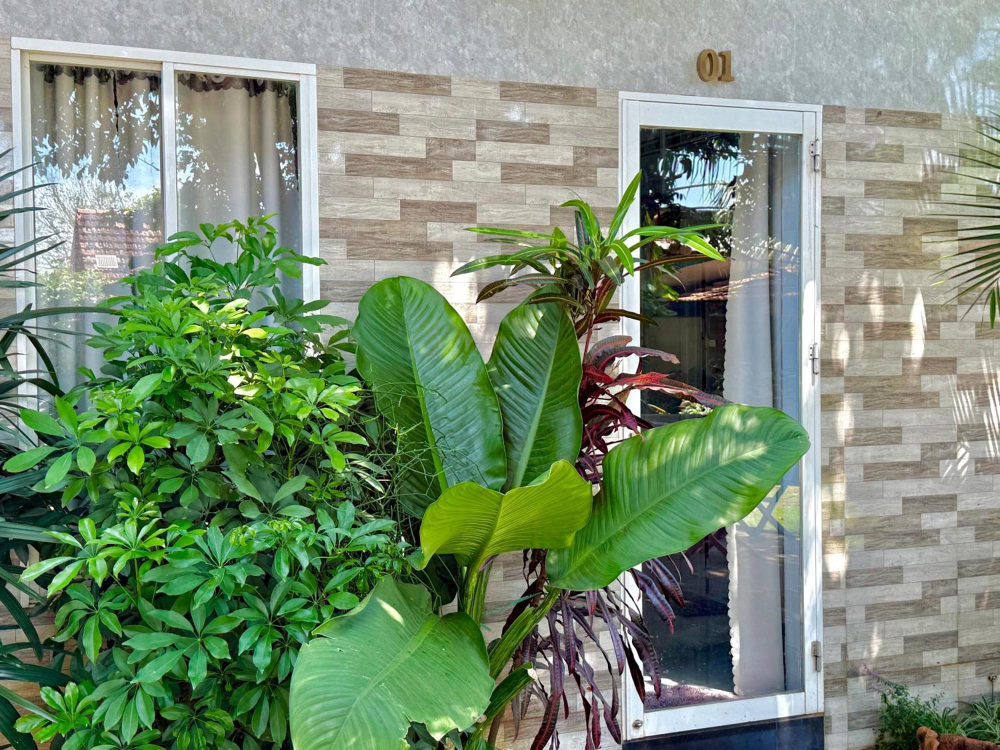 Ho Coc Homestay Εξωτερικό φωτογραφία